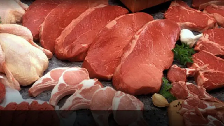 Carne de cerdo y pollo