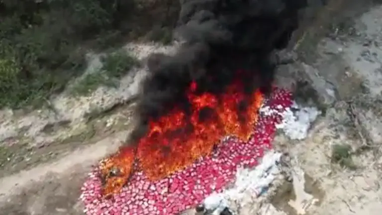 Queman droga valorada en más de $32 millones