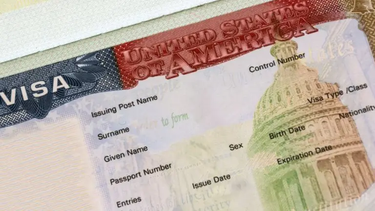 Visa H2