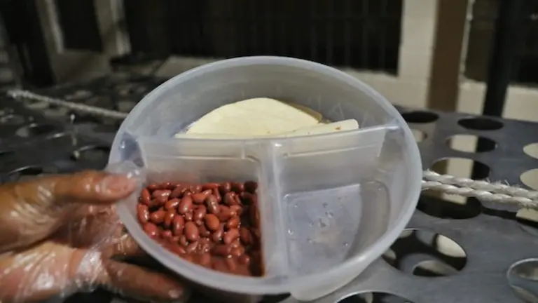 Alimentación Centros Penales