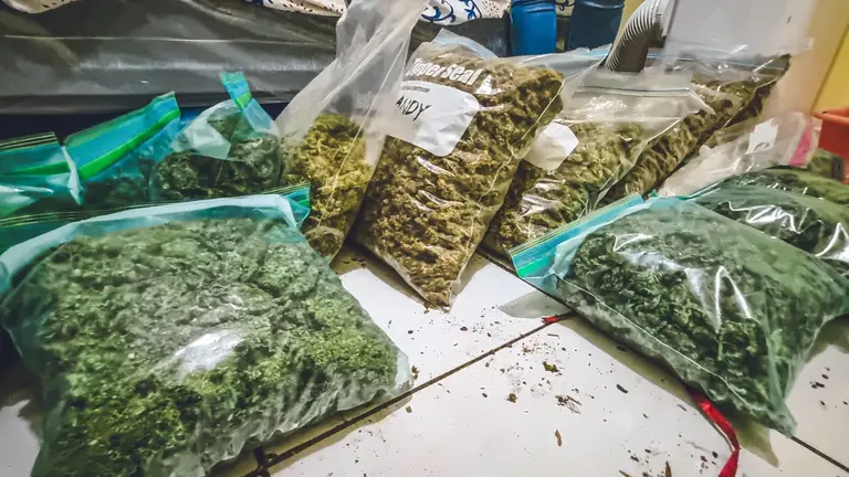 Allanamiento FGR drogas Lomas de San Francisco