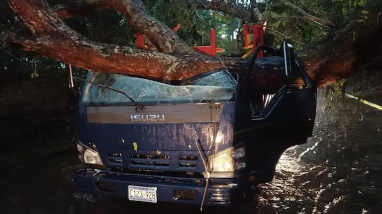 Árbol cae sobre camión con pasajeros en San Miguel
