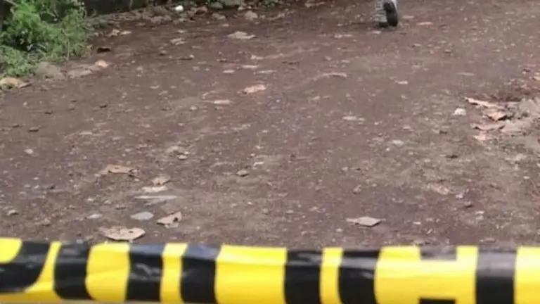 Cinta amarilla Sonzacate