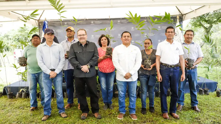 REFORESTAN VALLE JIBOA-MAG 1