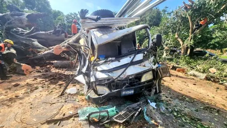 Árbol cae sobre camión Ciudad Arce, lesionados
