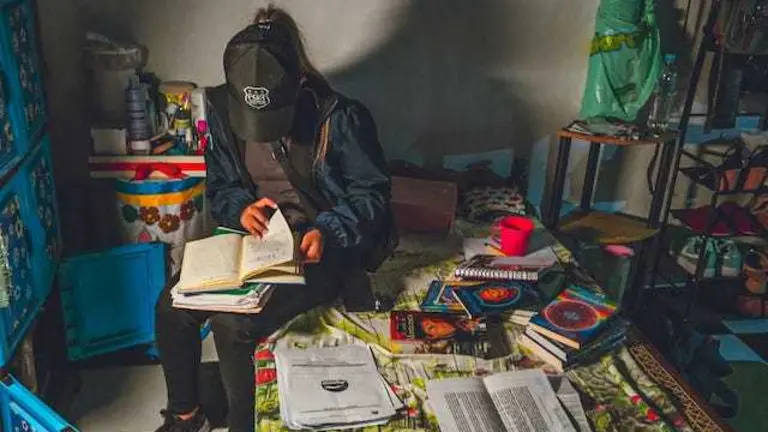 Red de estafa visas estados unidos