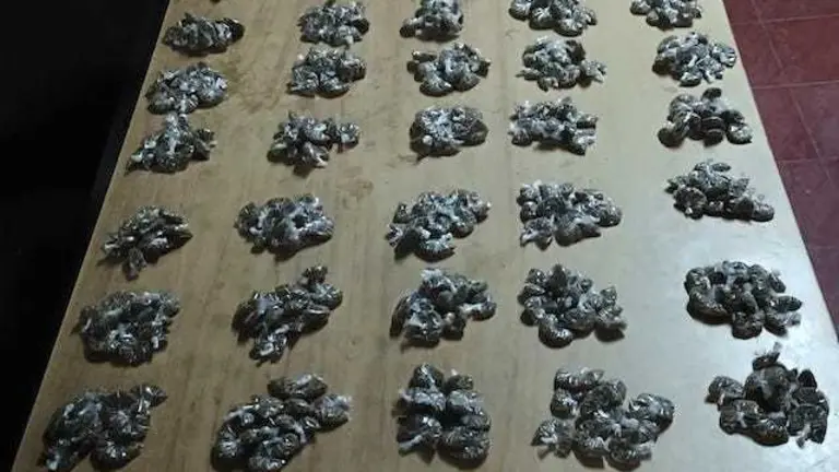 Daniela Vásquez Pérez, alias la Bombón, MS-13, tráfico de drogas marihuana 2