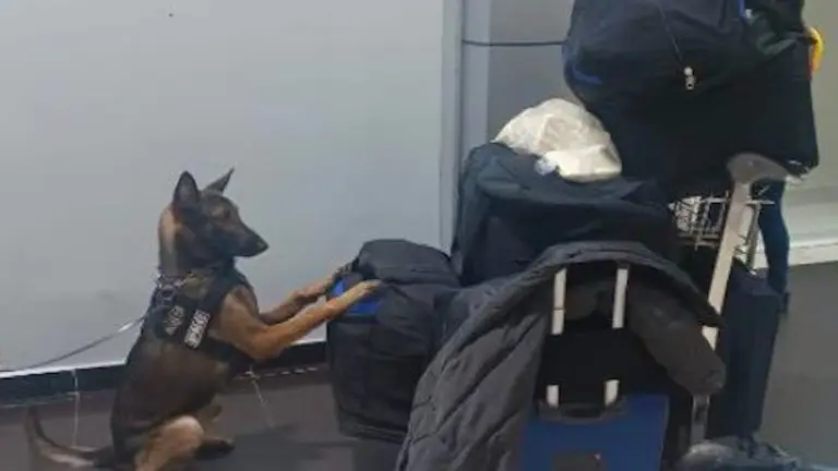 Ricardo Antonio Salmerón Gaitán