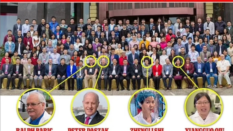 Científica china Wuhan virus