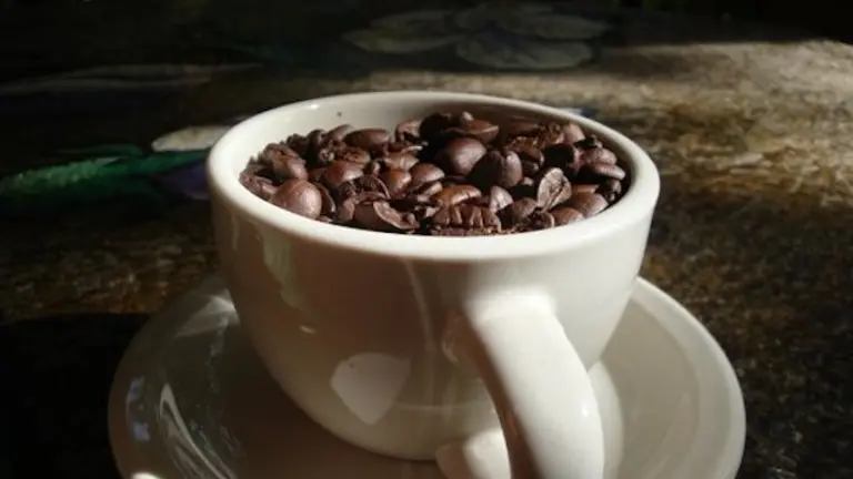 Café Pacamara Entre Nubes