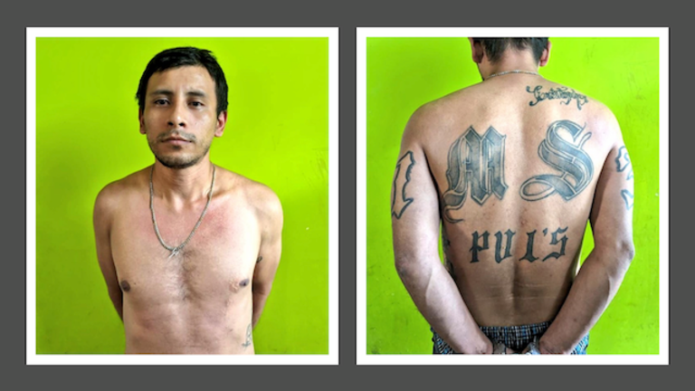 David Antonio Platero Ramírez, alias Siniestro o Chucho, corredor MS-13