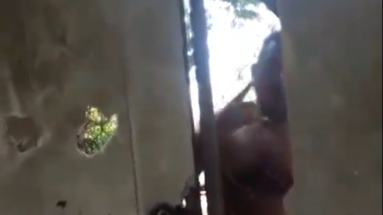 José Luis Sánchez Marroquín alias Burro, rifar el barrio mara 2