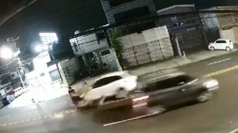 Atropellados Merliot 02-10-2024