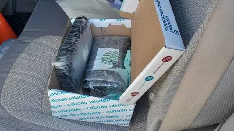 Diego Josael Calderón Hernández, tráfico ilícito de drogas 2