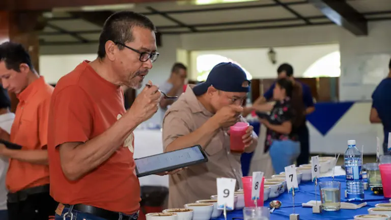 Inicia Taza de Excelencia El Salvador 2025