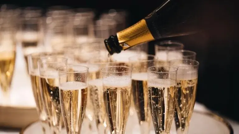 vino y champagne