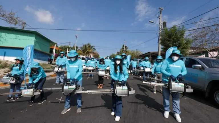 Plan Nacional de Fumigación DOM-15 Marzo 2025