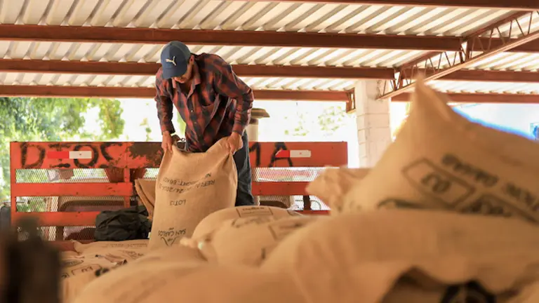 El Salvador realiza su primer envío de café a Marruecos