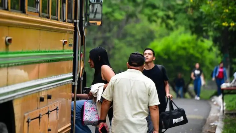 Buses