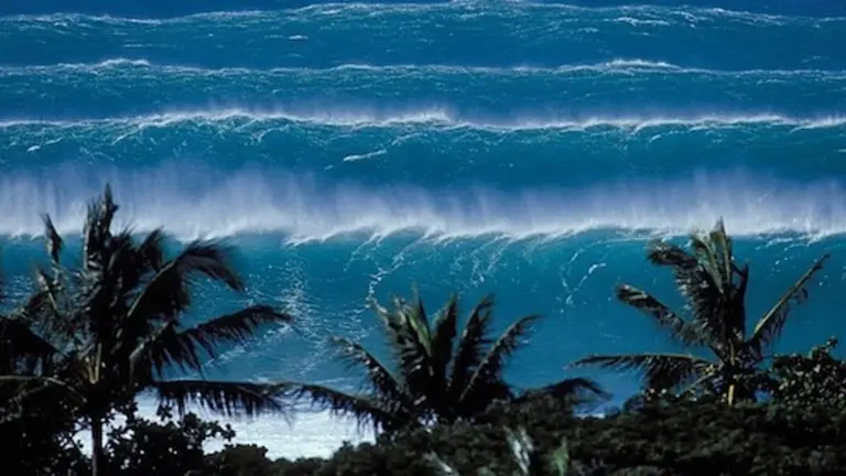 Olas Hawaii
