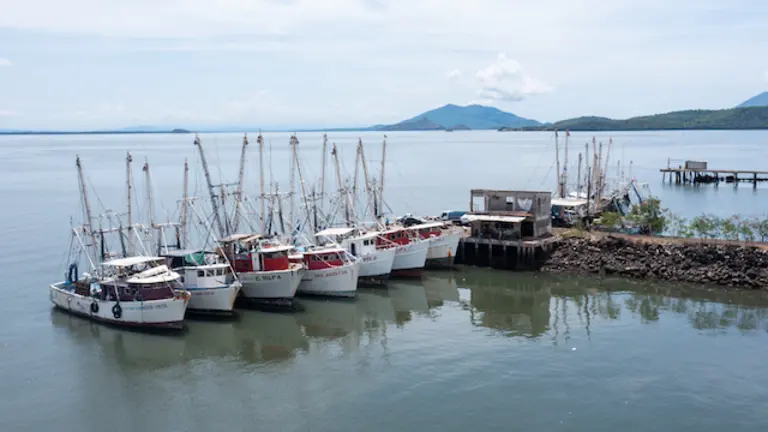 Barcos pesqueros 3