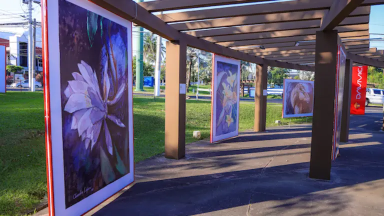 DAVIVIENDA INSPIRACIONES DEL ALMA 2025