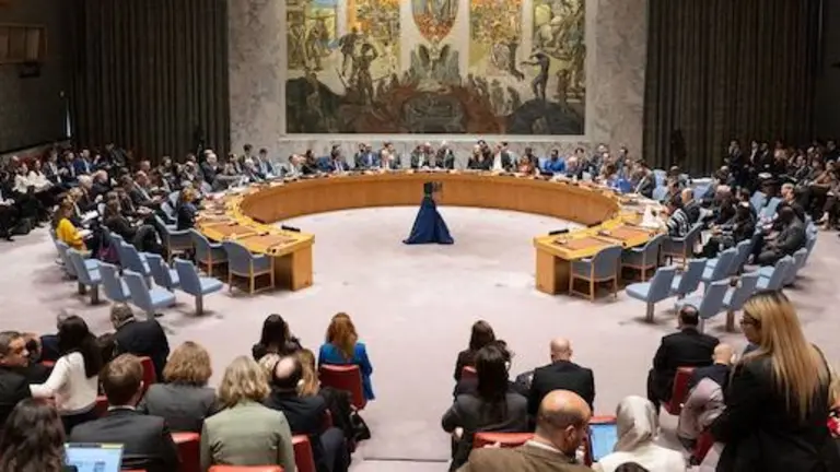 Consejo de Seguridad ONU