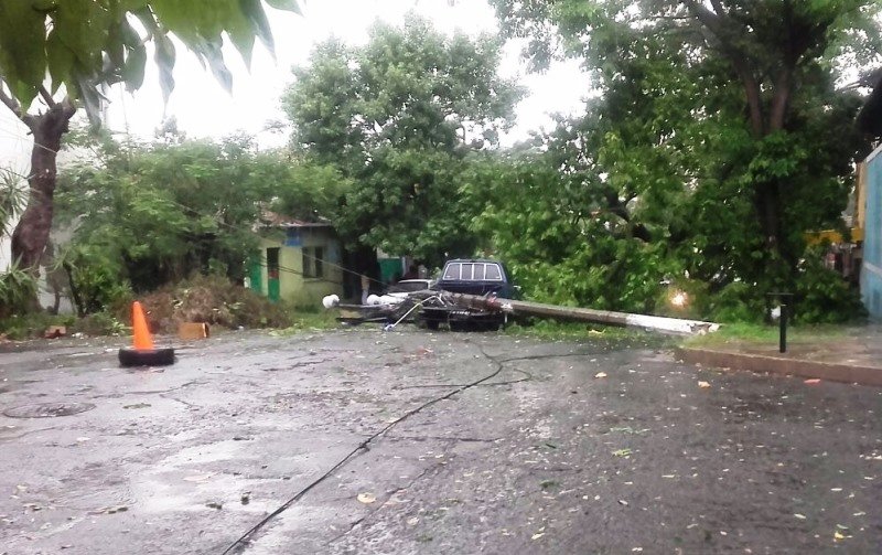 Árboles caídos por lluvias3