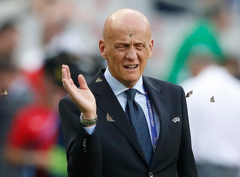 Polillas en final Eurocopa2