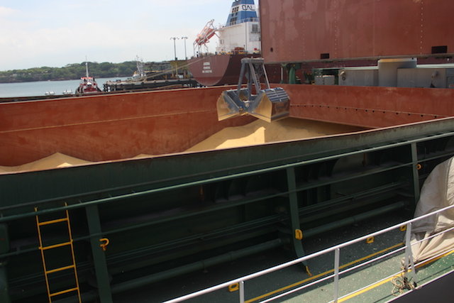 Gumarsal importación de maíz