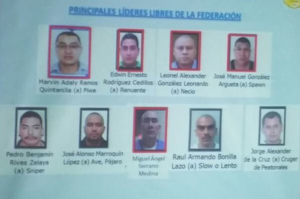 lideres de la federeacion