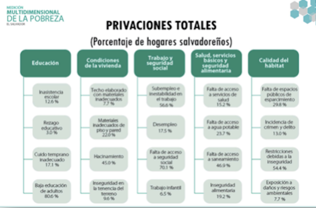 imagen columna steiner 2