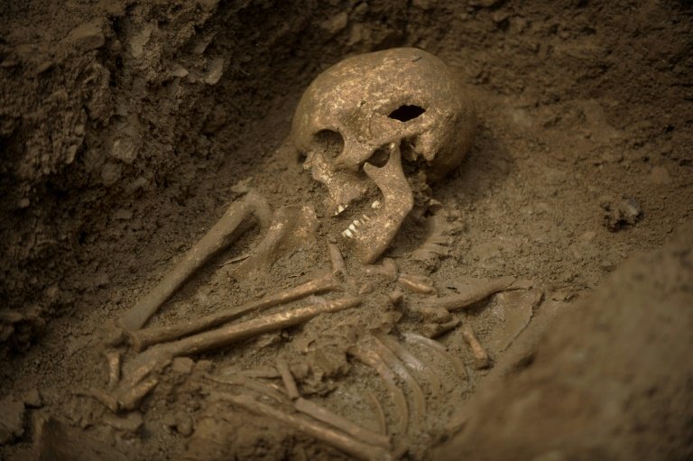 <p>Restos hallados en una necrópolis merovingia en Echenoz-la-Meline en Francia, en una foto tomada el 11 de junio de 2008</p>