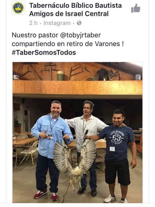 Toby sostiene águila1