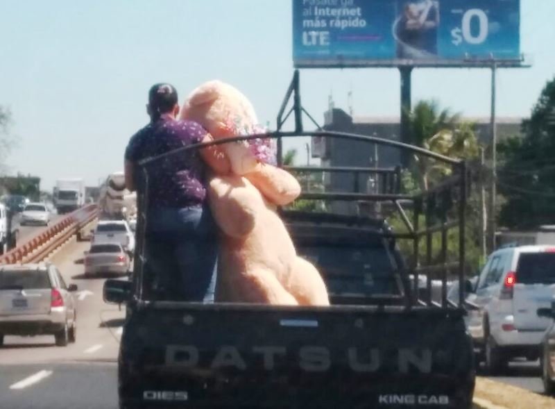 14d4032e-bfe6-4aa3-bfc5-3811bd264426