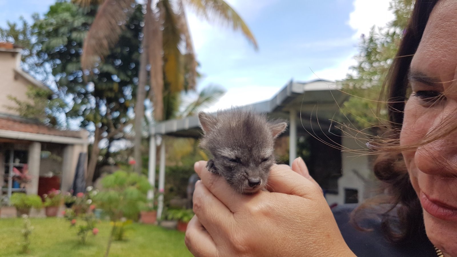 d2de0af6-5e83-488f-a472-51a5c002bdf2