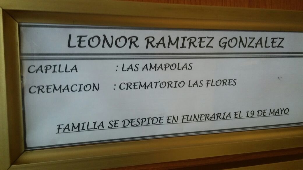 WhatsApp Image 2017-05-18 at 2.11.08 PM