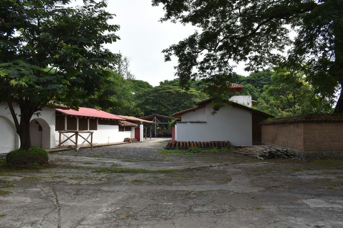 Extinción dominio Paco Flores5