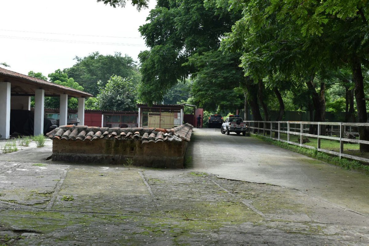 Extinción dominio Paco Flores6