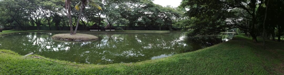 Extinción dominio Paco Flores8