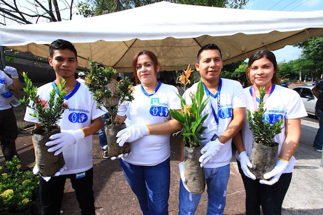 Esquina Walmart 7 junio 2017A