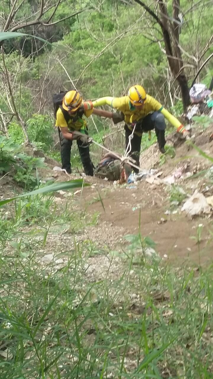 WhatsApp Image 2017-06-18 at 9.11.04 AM