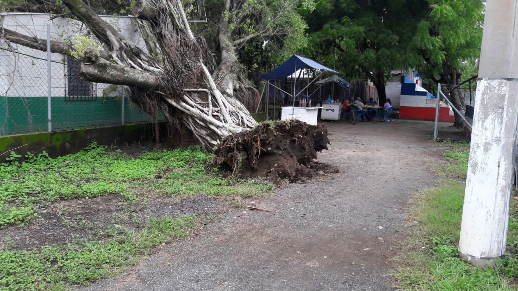 Unidad Municipal de la Mujer en La Libertad