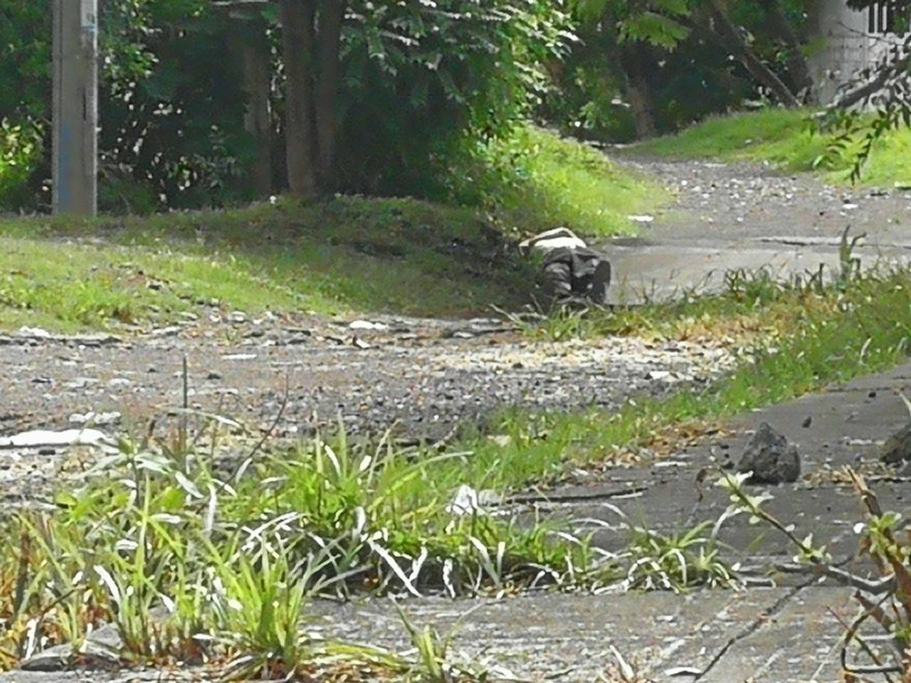 Empleado cooperativa