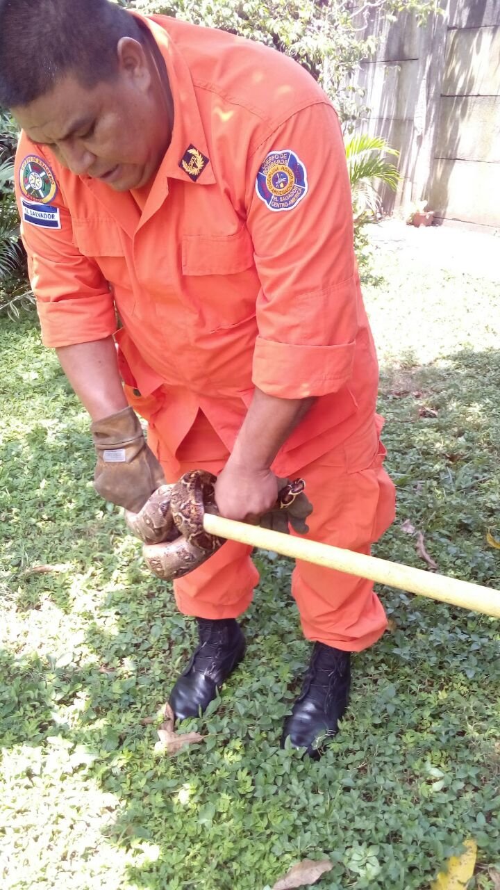 WhatsApp Image 2017-09-05 at 1.42.32 PM