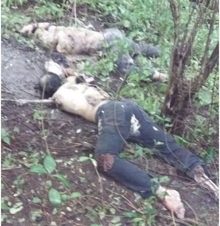 Cádaveres en Jabalincito