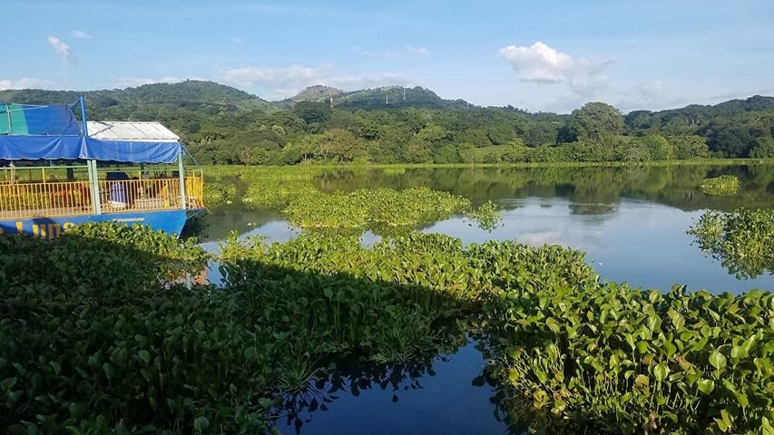 22643218_2073299829579087_1673879919_o