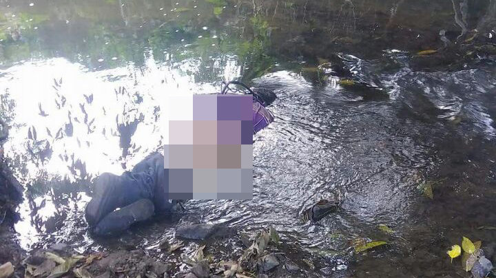 551d153d-4746-43a1-b019-b13425d0da65