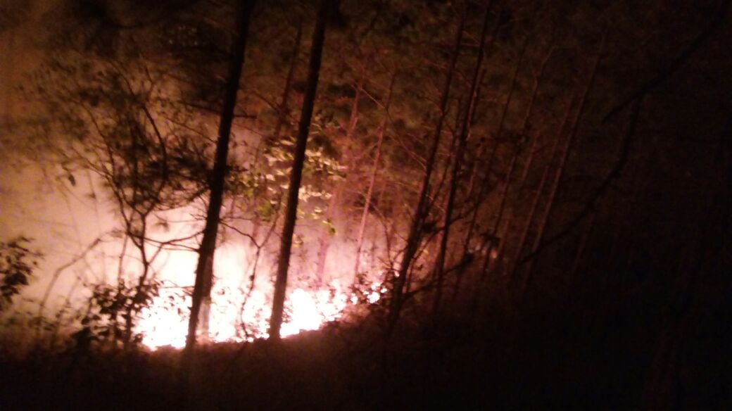 Incendio forestal Chalate2