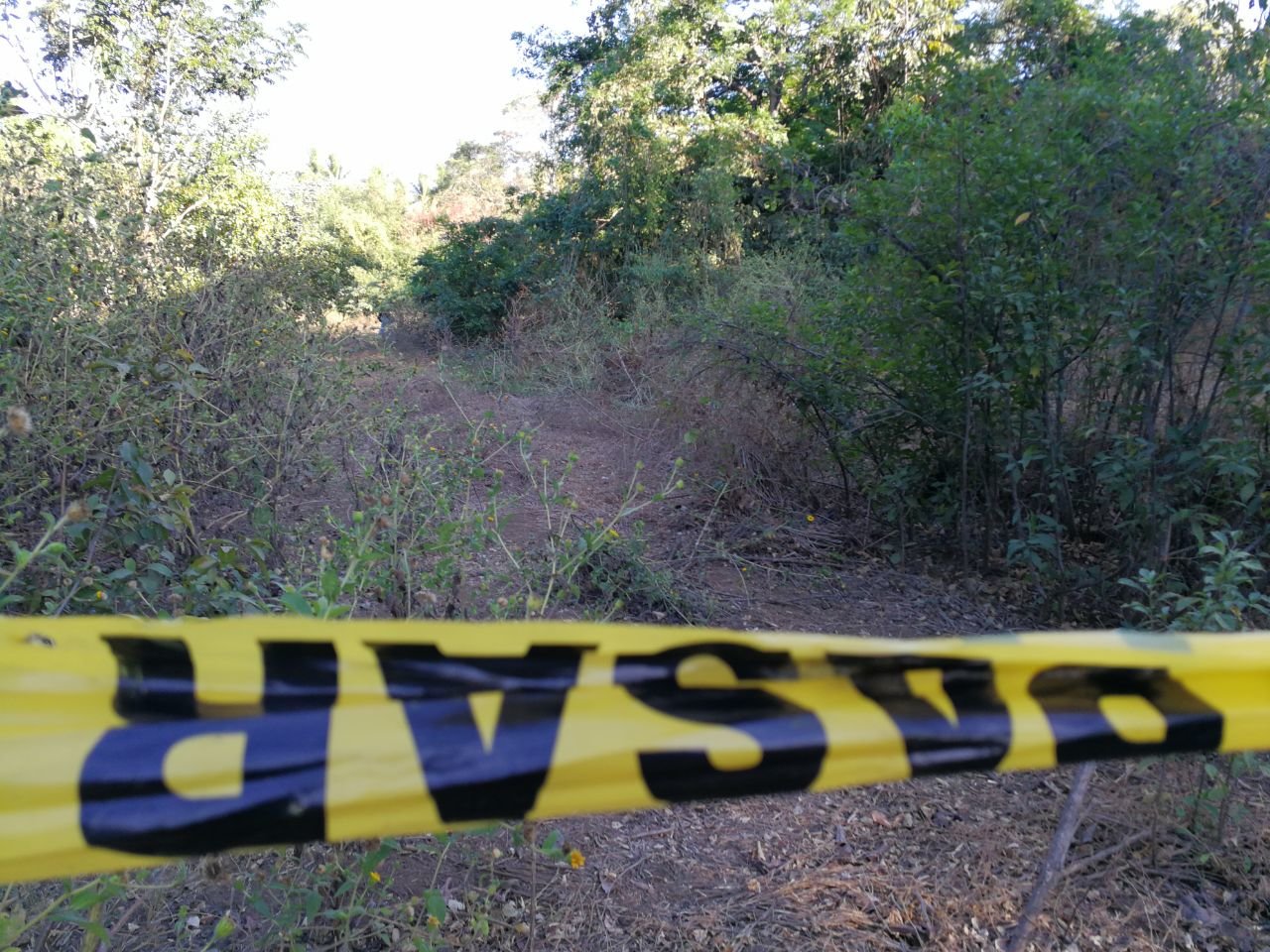 WhatsApp Image 2018-01-22 at 5.00.42 PM